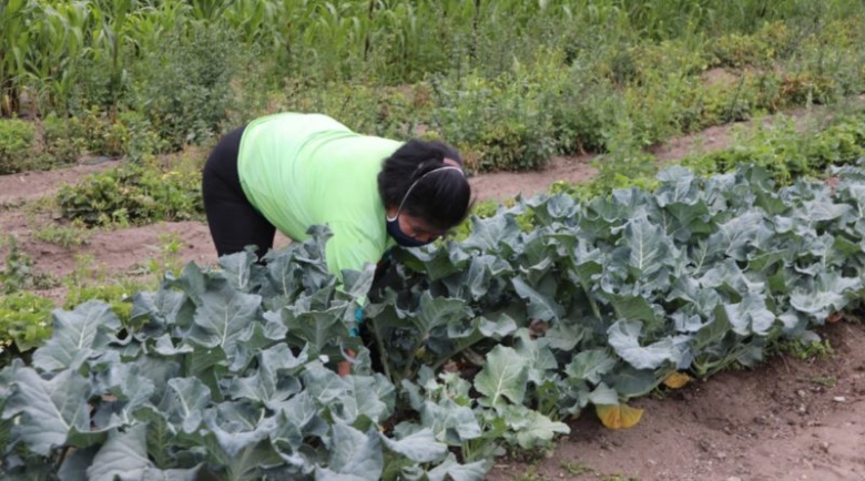 AGRUPAR: Proyecto de Agricultura Urbana Participativa